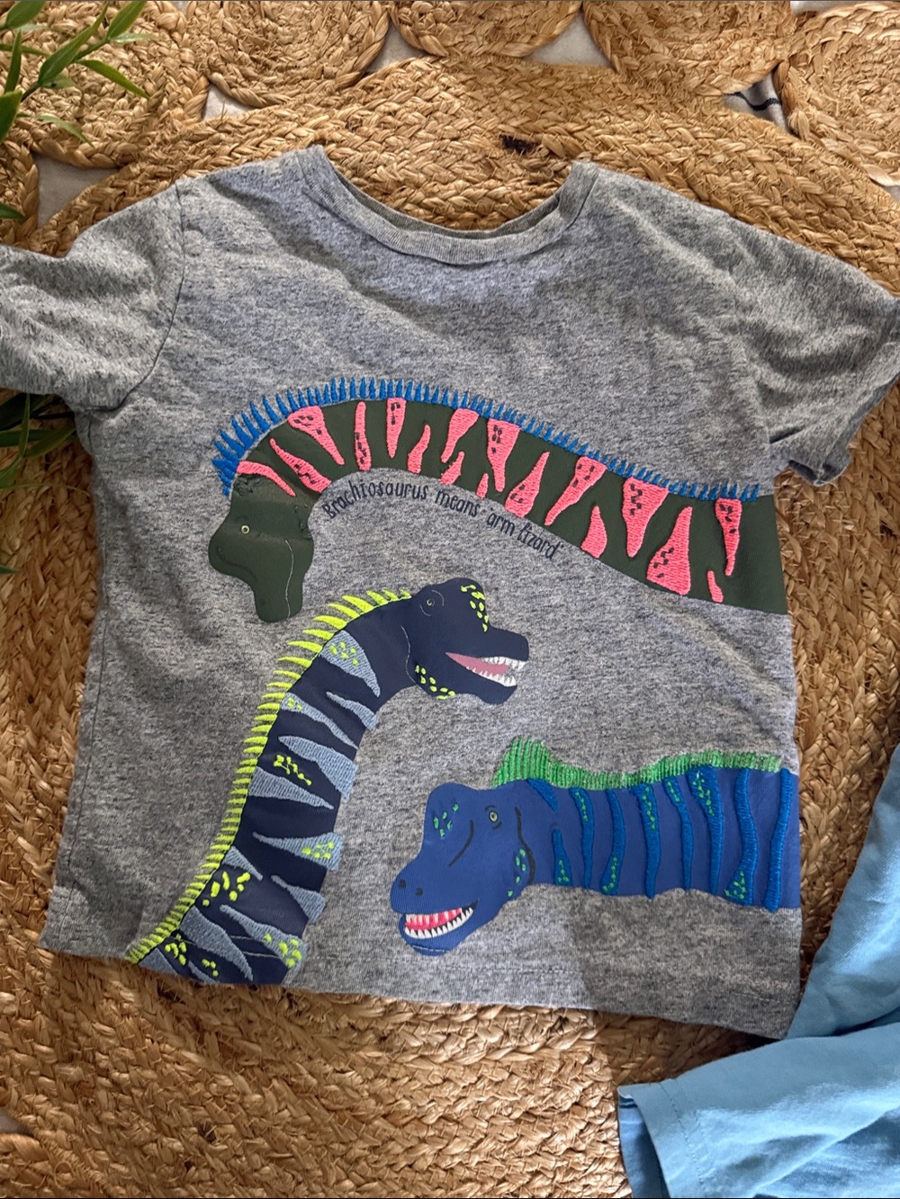 Mini Boden Tee Set Animal Dino Applique Tshirt Set lot. Size 3T-4T ***read*** - Picture 3 of 8